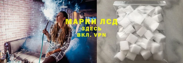 трава Аркадак