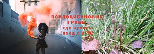 круглые Арсеньев