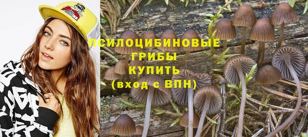 круглые Арсеньев